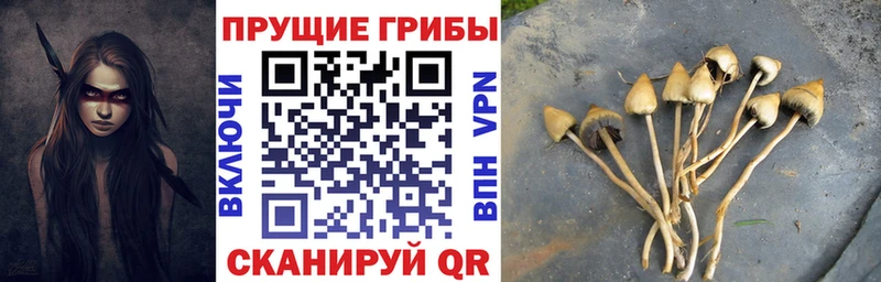 купить наркотик  Киров  кракен сайт  Галлюциногенные грибы ЛСД 