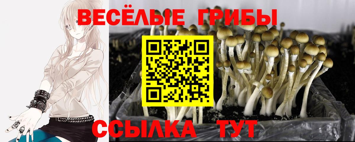 Псилоцибиновые грибы ЛСД Киров