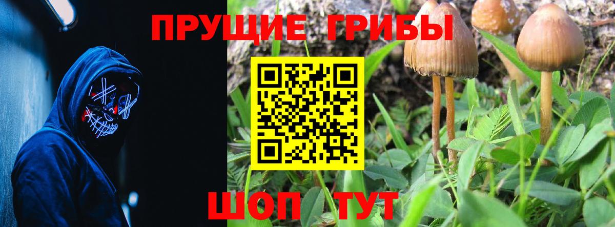 Галлюциногенные грибы MAGIC MUSHROOMS  Вход с VPN  Киров  Галлюциногенные грибы мухоморы 