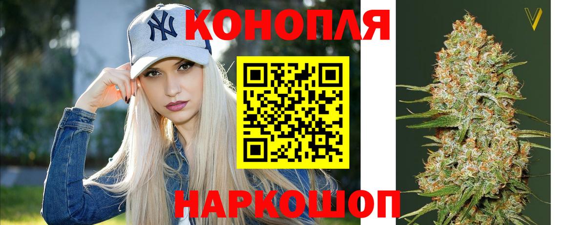 Бошки Шишки Bruce Banner  Каннабис семена  Киров  Бошки марихуана VHQ  Вход с VPN 